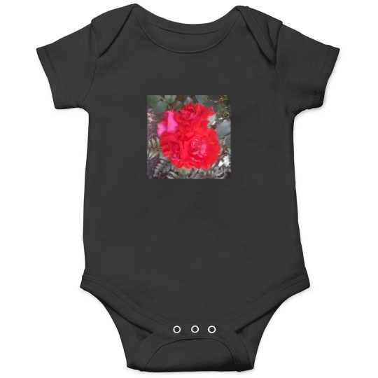 Discover Red Rose 2180 Onesies