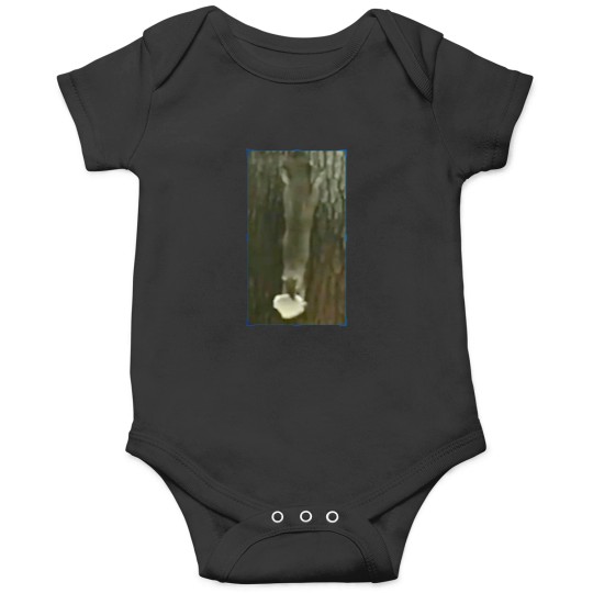 Discover Funny squirrel with nut Onesies