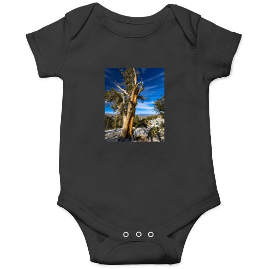 Discover Bristle Cone Pine 2304 Onesies