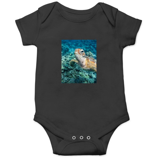 Discover Green Turtle On Great Barrier Reef Onesies