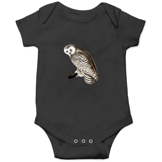 Discover Snowy Owl Vintage Illustration Onesies