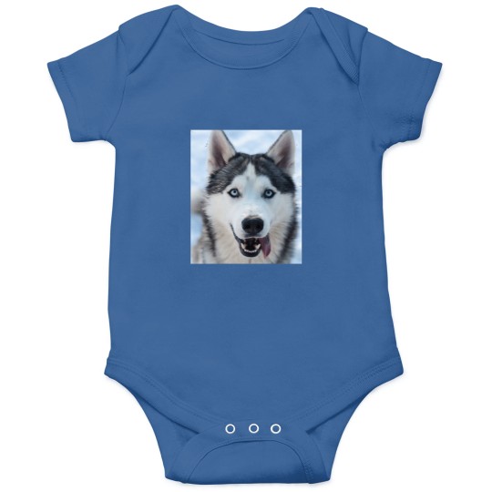 Discover funnys Looking Siberian Husky dogs Classic Onesies