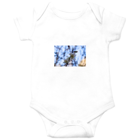 Discover THE ALMOND blossoms Onesies