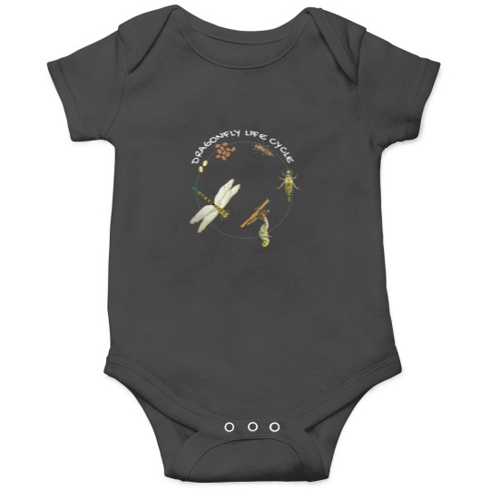 Discover Dragonfly Life Cycle Facts 3 Stages Insect Development Onesies