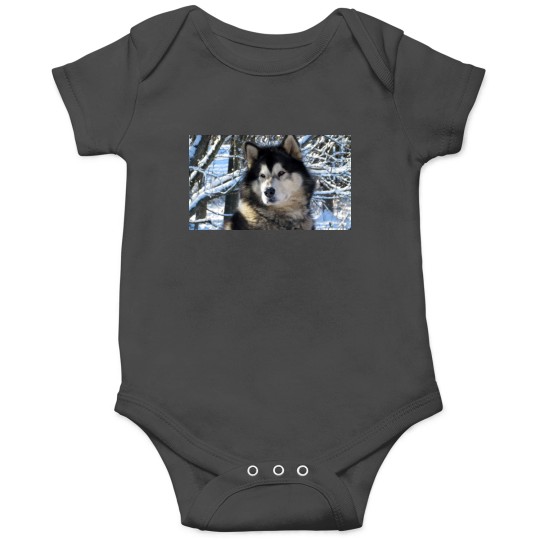Discover Loup's first snowfall 2012 Onesies