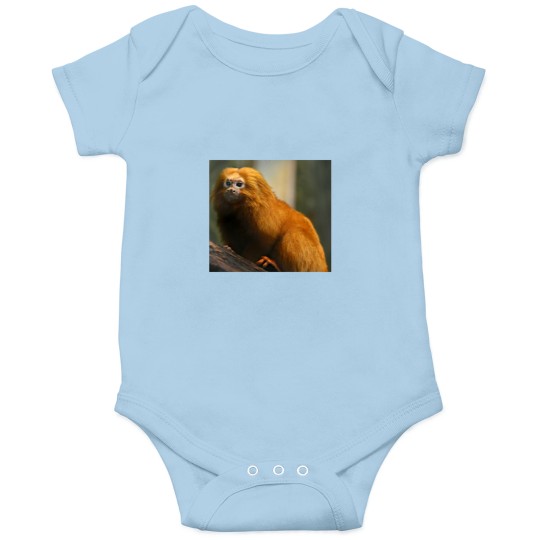 Discover Golden Lion Tamarin (Leontopithecus rosalia) Onesies