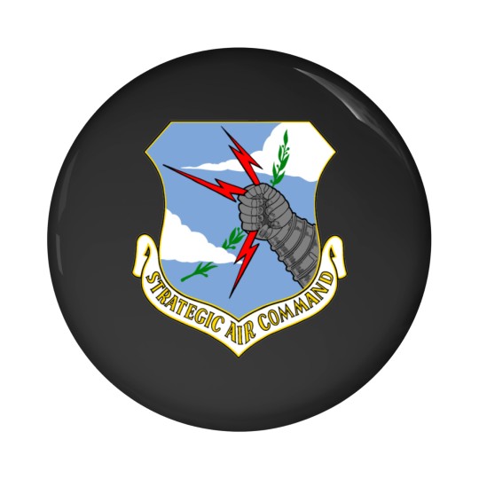 Discover Strategic Air Command SAC Pin Buttons