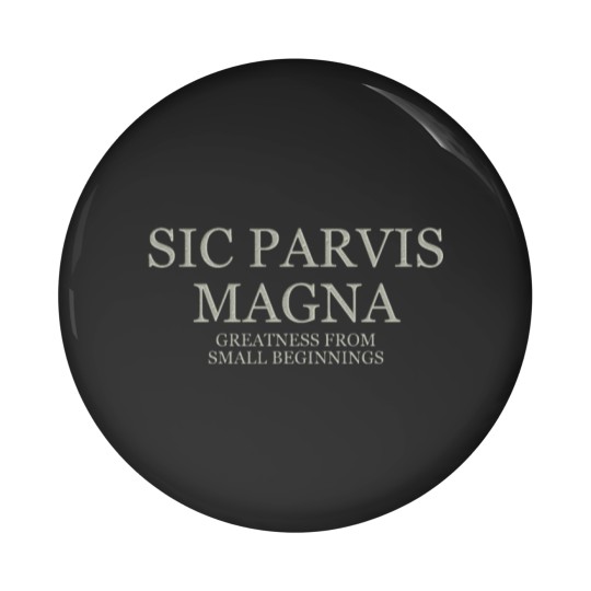 Discover Greatness From Small Beginnings - Light Pin Buttons