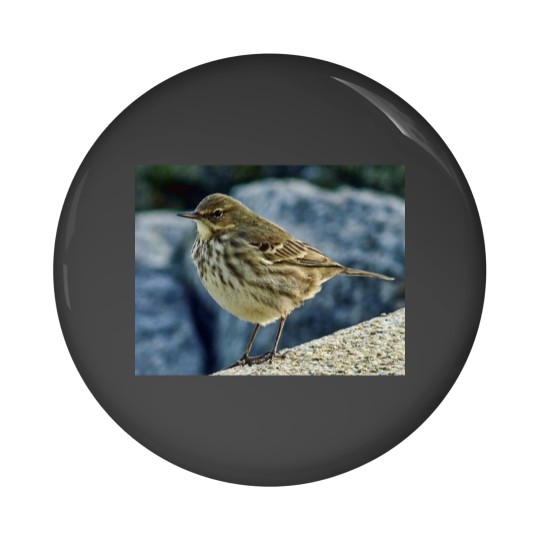 Discover The Finnmarken at Dusk in Tromso Pin Buttons