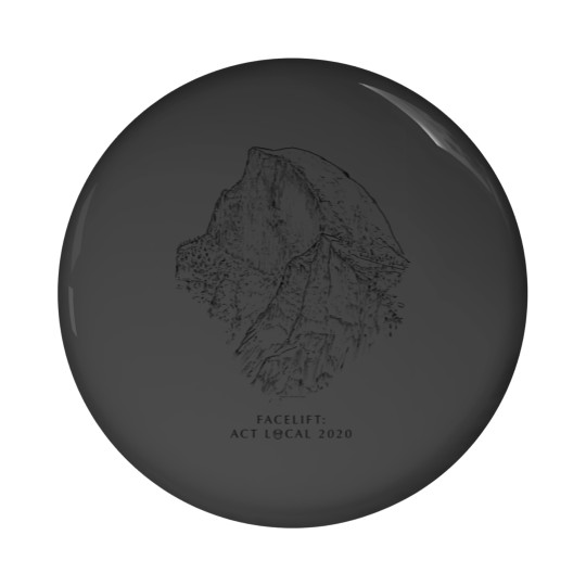 Discover Facelift Act Local 2020 Pin Buttons