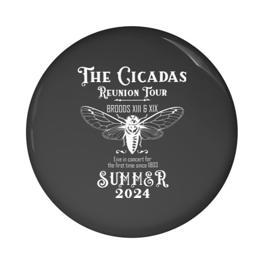 Discover Cicada Concert Tour 2024 Pin Buttons