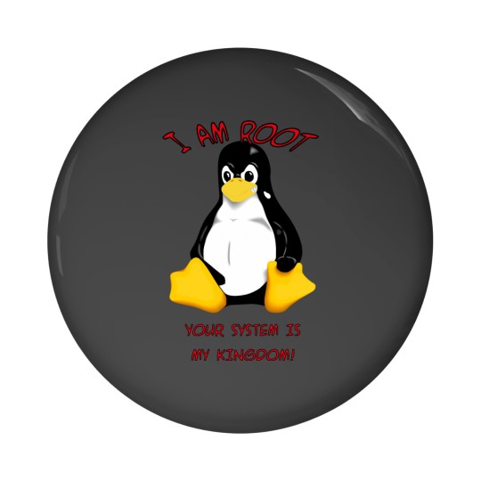 Discover Your system is my kingdom Pin Buttons
