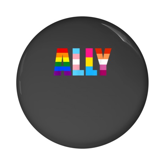 Discover Ally Gay Pride Trans Pan Lesbian Pride Flag Pin Button