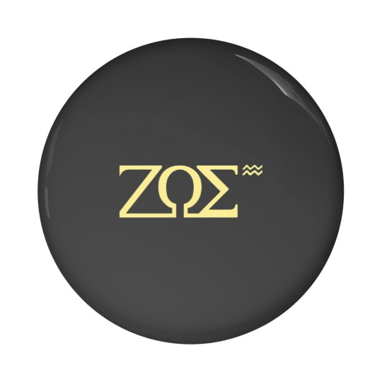 Discover ZOEActive Pin Buttons