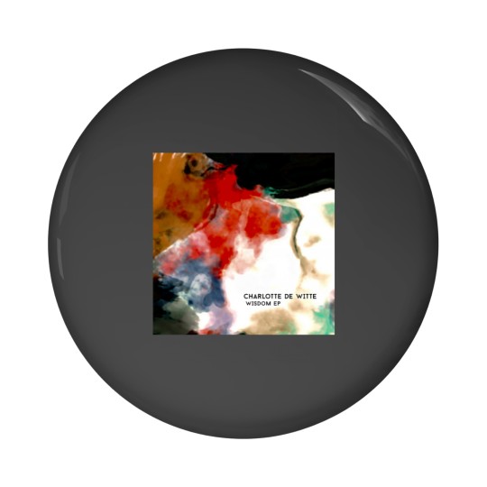 Discover wisdom Pin Buttons