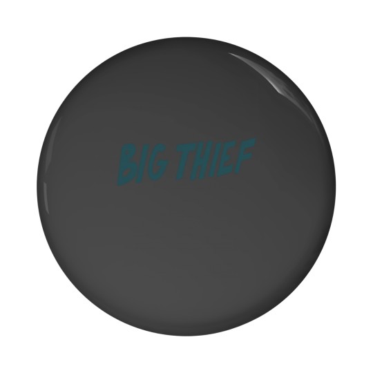 Discover Big Thief indie rock logo Pin Buttons