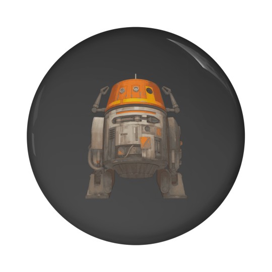 Discover C1-10P Pin Buttons