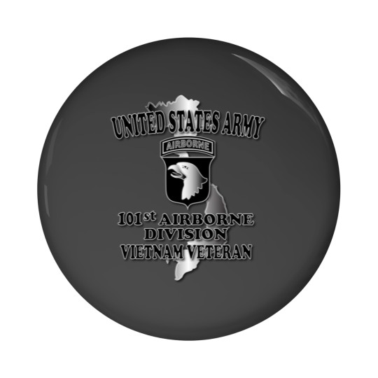 Discover 101st Airborne Division- Vietnam Veteran Pin Buttons