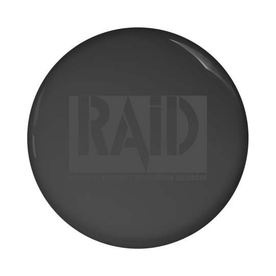Discover RAID French Police Tactical Unit Essential Pin Buttons