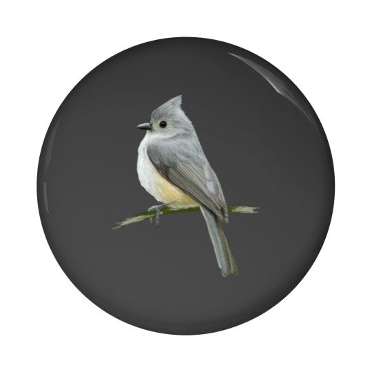 Discover cute bird Pin Buttons