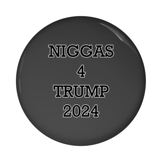 Discover Trump 2024 Pin Button