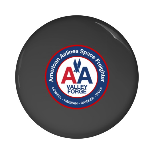 Discover AA Space Freighter Valley Forge Silent Running Pin Buttons