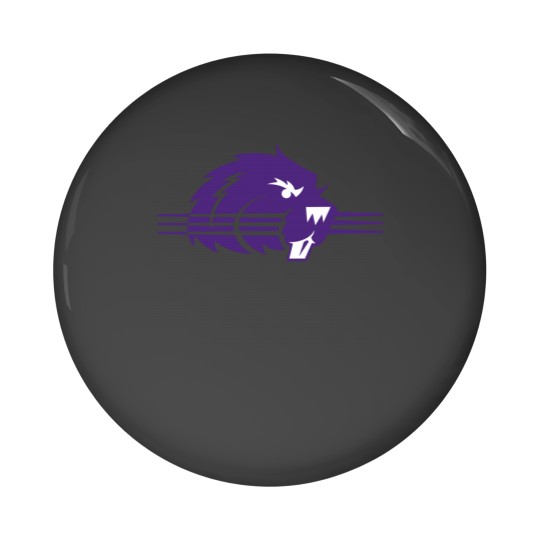 Discover College of Bluffton Beavers Athletic Pin Buttons