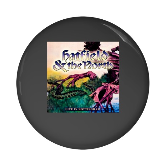 Discover Hatfield and The North Band Pin Buttons