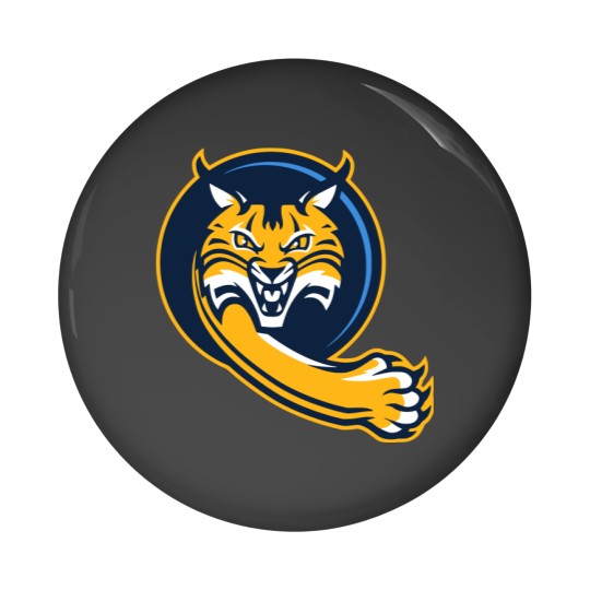 Discover The Quinnipiac University Bobcats Athletic Pin Buttons