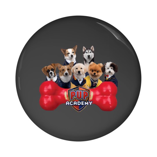 Discover Pup Academy Show Pin Buttons