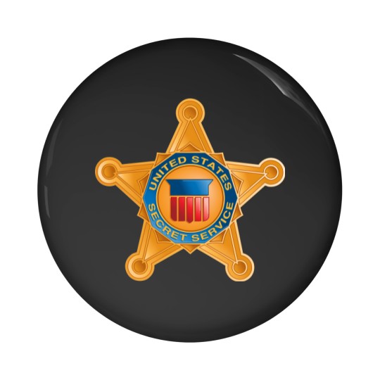 Discover Us Secret Service Emblem And Flag High Quality 1387 Pin Buttons