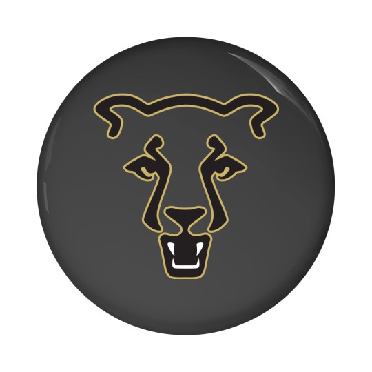 Discover Colorado Springs UCCS Mountain Lions Pin Buttons