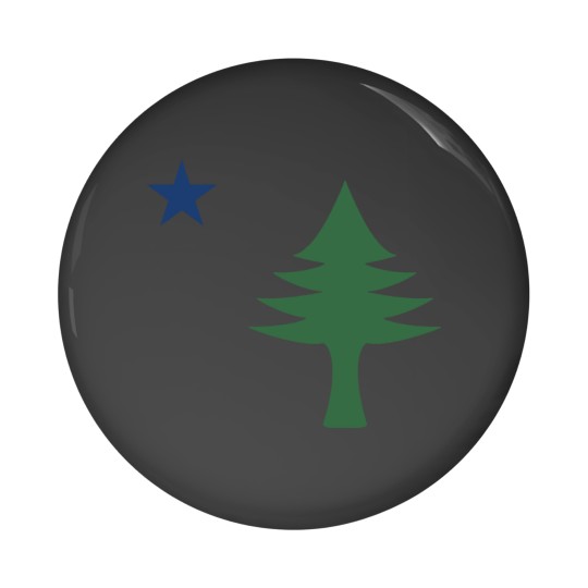 Discover Maine 1901 Original Tree and Star Flag Active Pin Buttons