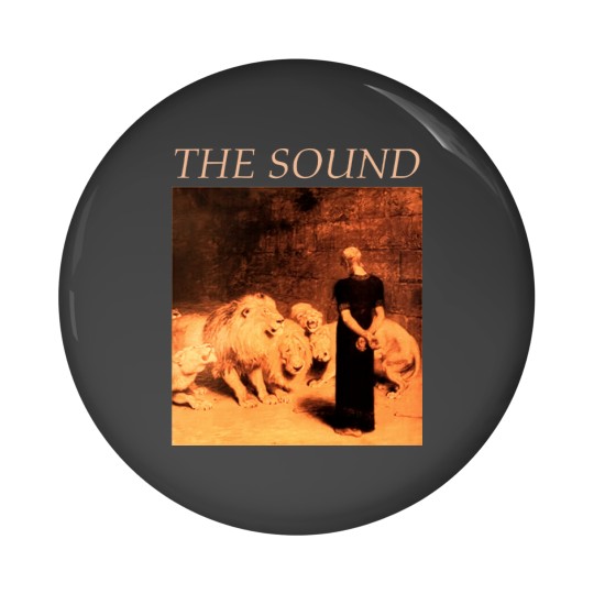 Discover the sound Pin Buttons