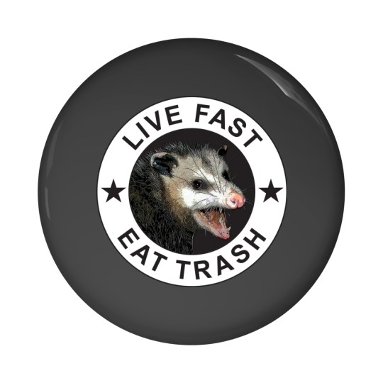 Discover Live Fast Eat Trash Pin Buttons
