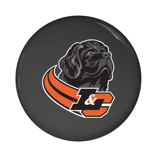 Discover Lewis & Clark College Pioneers Pin Buttons