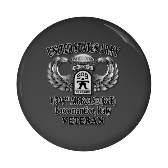 Discover 1St 509Th Airborne Pin Buttons