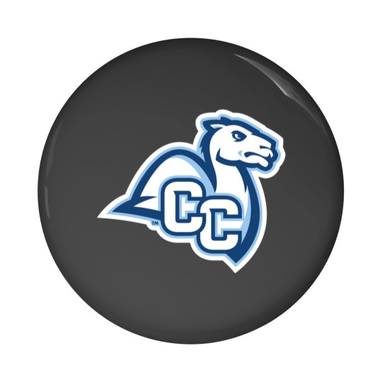 Discover Connecticut College camel athletics gifts souvenirs Pin Buttons