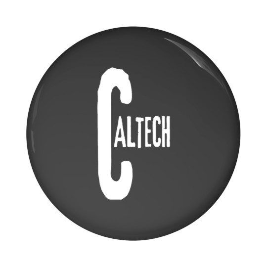 Discover Caltech T- Pin Buttons
