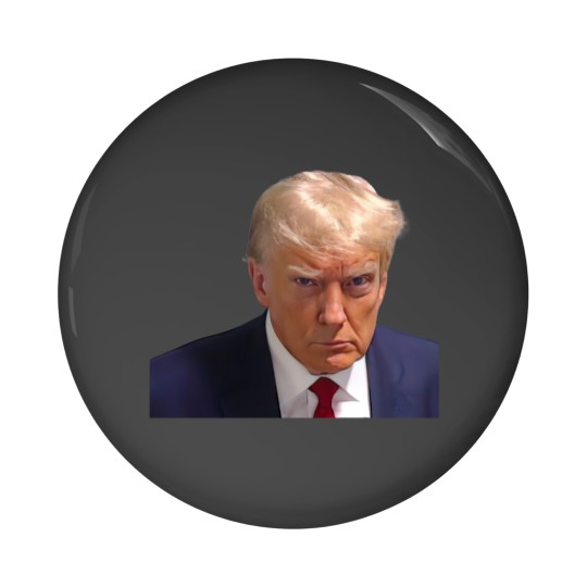 Discover -----------Donald-Trump Mugshot -------- Pin Buttons
