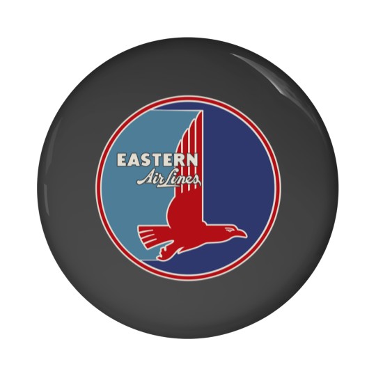 Discover Eastern Airlines Vintage Logo  Defunct Airline Logo  20 Pin Buttons