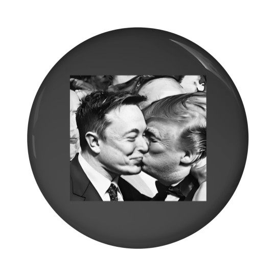 Discover Elon Musk and Donald Trump Kissing Pin Buttons