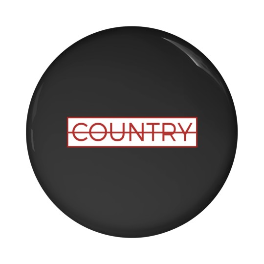 Discover Sakamoto Country Pin Buttons, Gifts for Anime Lovers