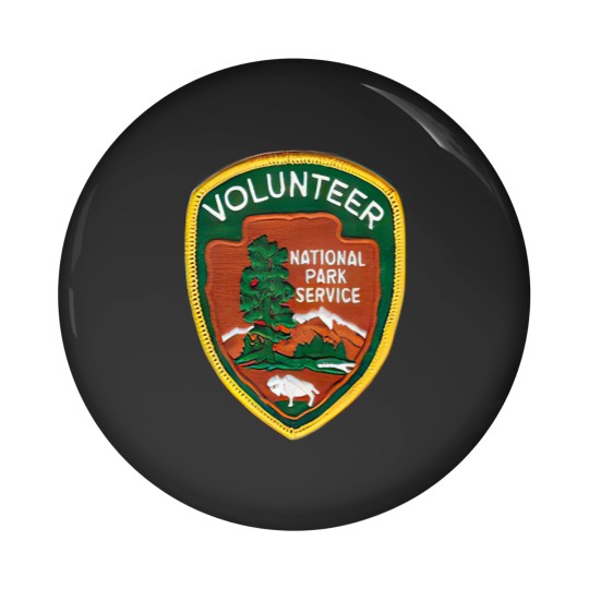 Discover U S National Park Service Volunteer Pin Buttons