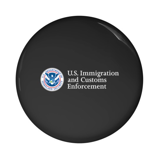 Discover immigration and customs enforcet ice homeland security Pin Buttons
