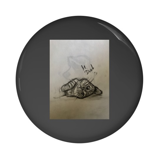 Discover Cat Refugee Pin Buttons