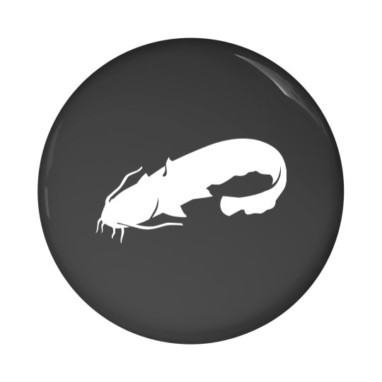 Discover Catfish Pin Buttons