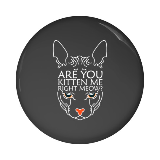 Discover Are you kitten me right meow Pin Buttons