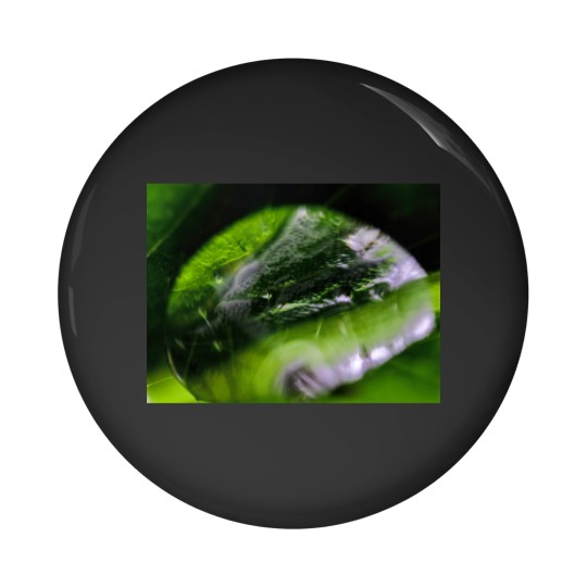 Discover Dew Drop Pin Buttons