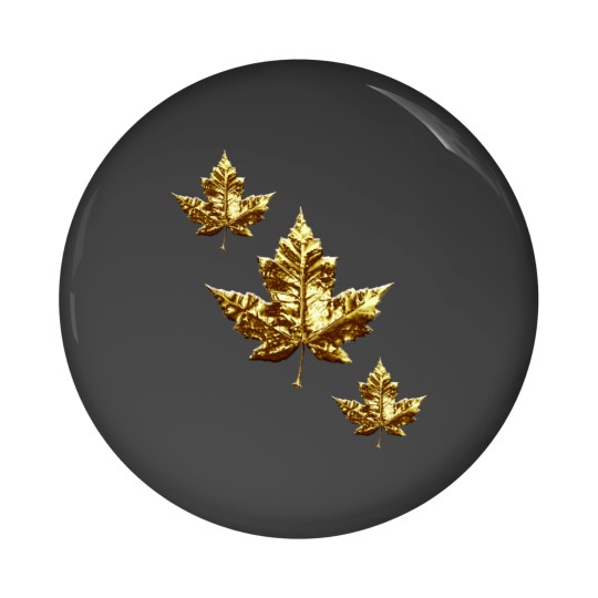 Discover Cool Canada  Gold Maple Leaf Pin Buttons